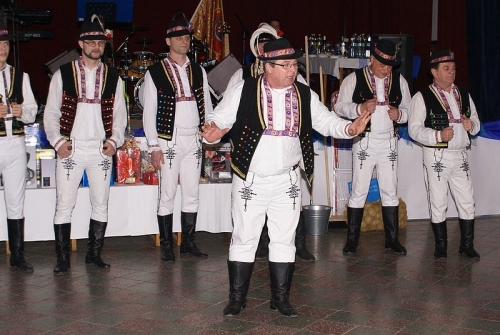 Ples DHZ Žbince 2015