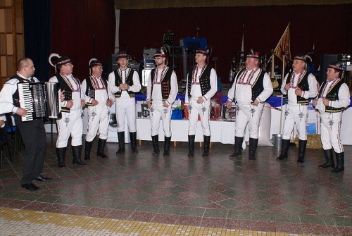 Ples DHZ Žbince 2015