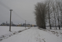 200901161454550.Topole_4.JPG