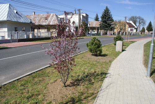 Revitalizácia centrálnej zóny obce Žbince