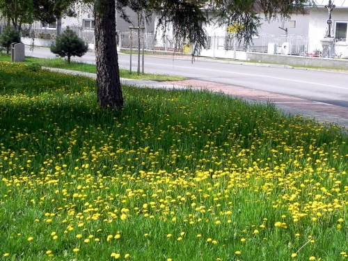 Stavba lešenia na farskom kostole