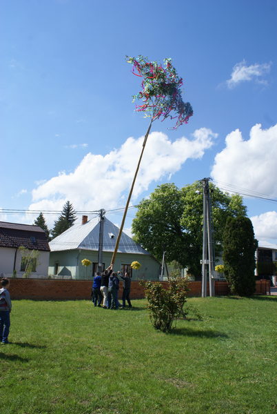 Stavanie mája