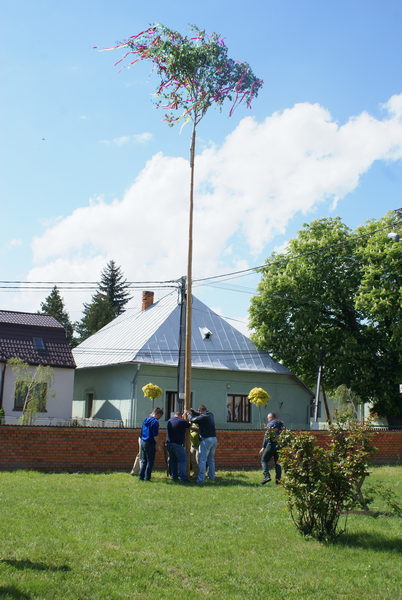 Stavanie mája