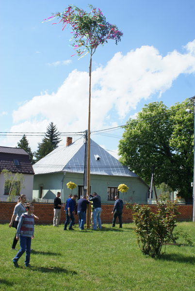 Stavanie mája