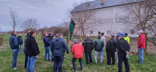 Ukážka rezu ovocných drevín