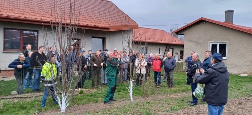 Ukážka rezu ovocných drevín