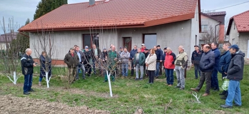 Ukážka rezu ovocných drevín