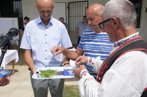Oslavy 60 rokov organizovaného futbalu