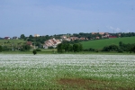 Morava 2007