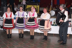 Hasičský ples 2013