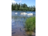 Štrbské pleso
